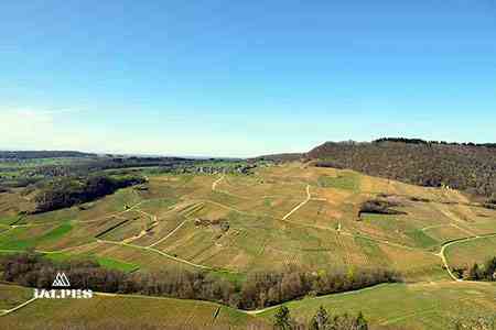 Vignoble du Jura