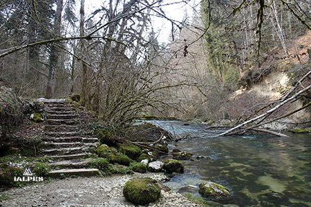 Jura source de l'Ain